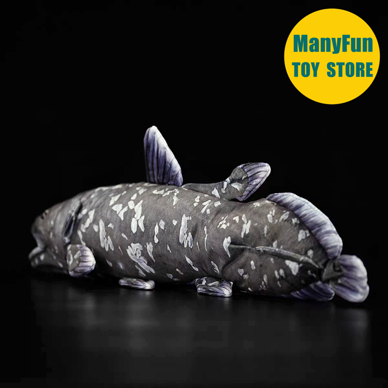 Realistisches Coelacanth-Plüsc – Kids Toys Unique Bewertung und Preis